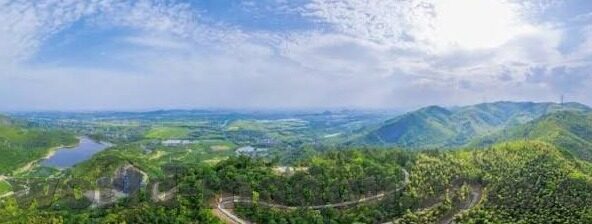91麻豆剧传媒国产av在线-平台往往具备以下几个特点