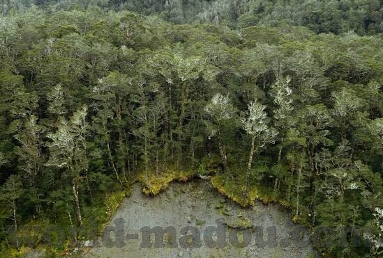 av基地网站麻豆-探索线下娱乐的新视角，AV基地与麻豆文化的交织