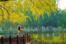 国产麻豆传媒app-国产麻豆传媒APP，文化背后的真实与遐想
