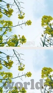 快猫成人版短视频app下载-解锁娱乐新视界，快猫成人版短视频app的探索之旅