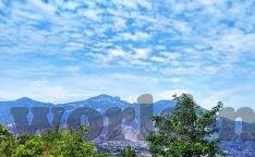 秋葵app下载汅api免费麻豆-绿色田园新生活，秋葵app的探秘之旅
