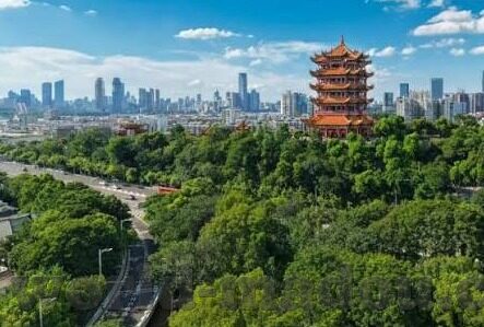 糖心app免费观看网站-守护网络净土，文明使用互联网的指南