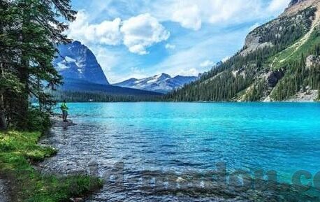 糖心app永久会员兑换码-揭秘网络现象，糖心App长期会员特权与兑换码解析