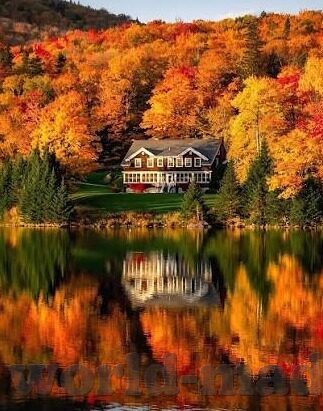糖心vlog官网入口下载-开启甜蜜新视界，探秘糖心vlog的精彩世界