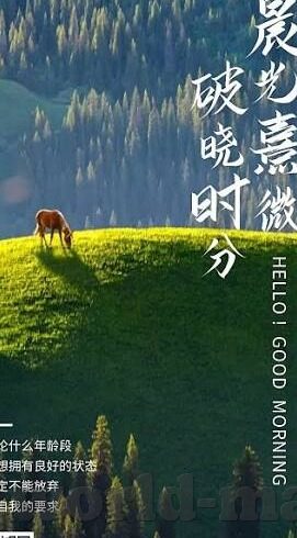 糖心直播免费版app下-探索内容消费新平，试论糖心直播免费版之移动直播时代的新趋势