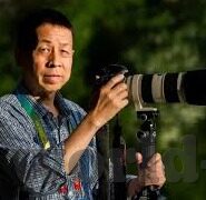 www.糖心vlog-探索多元视频文化的韵味——糖心Vlog的独特魅力